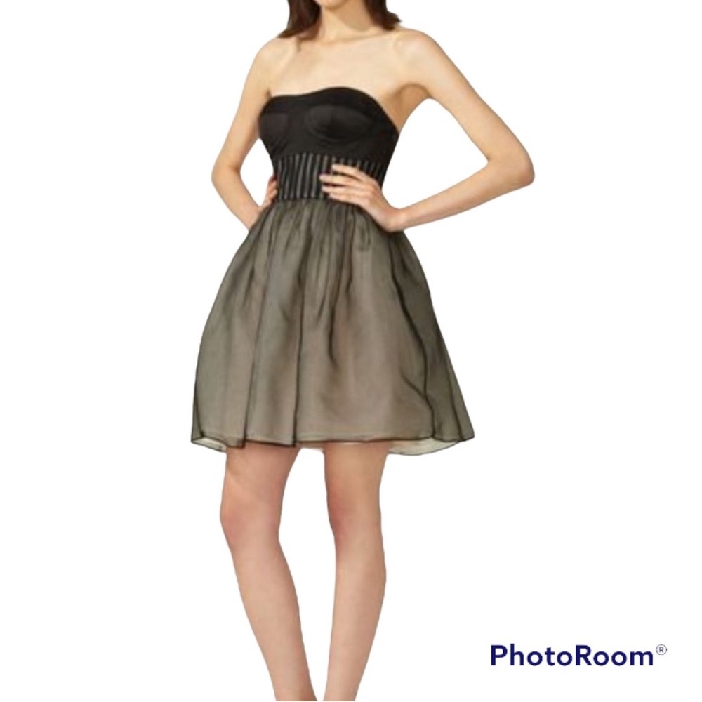 Vera Wang Lavender Label Silk Blend Strapless Corset Mini Dress